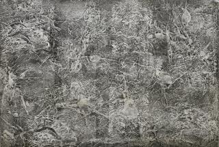 Toshimitsu Imai - Wave