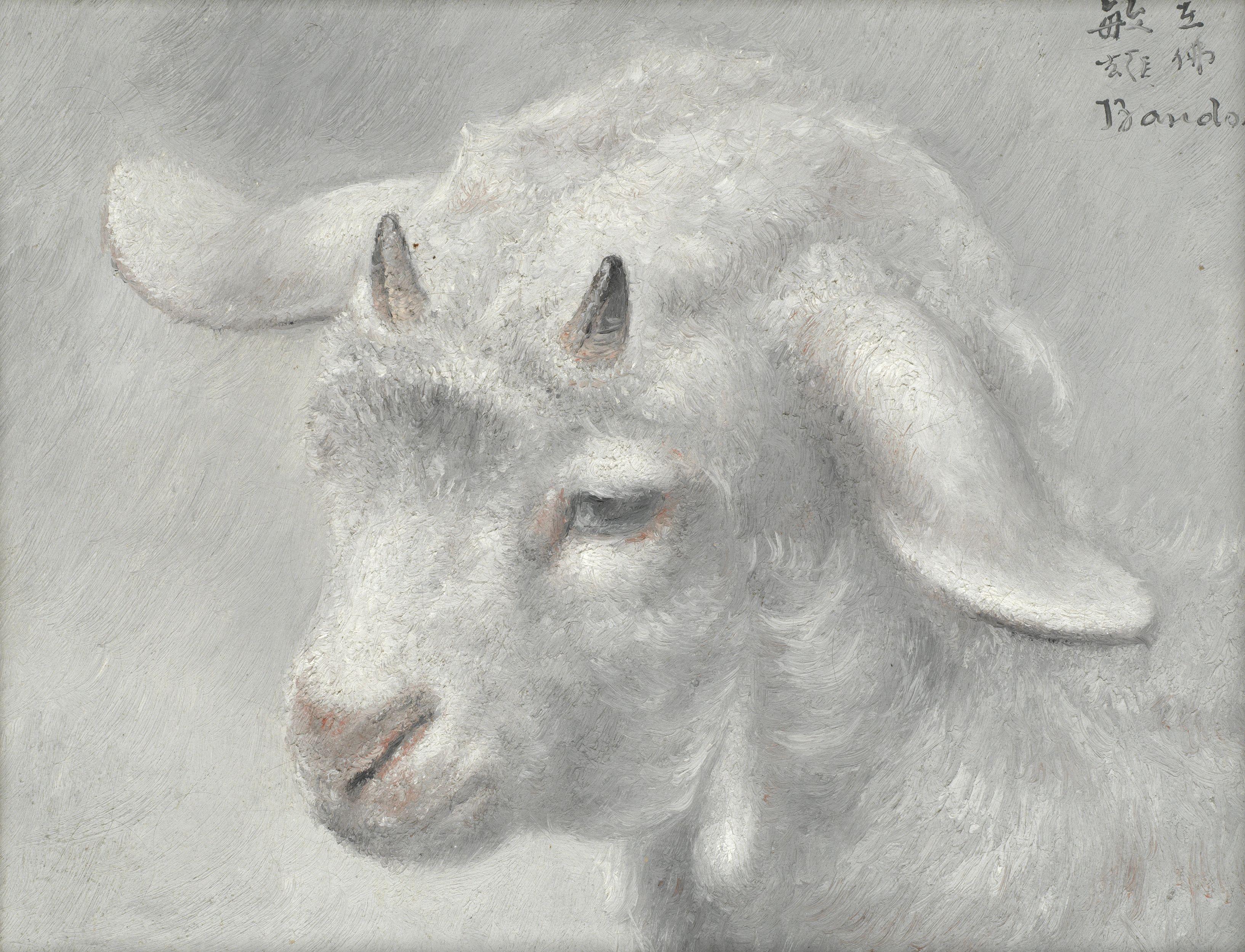 Toshio Bando - Study Of A Kid Goat