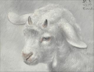 Toshio Bando - Study Of A Kid Goat