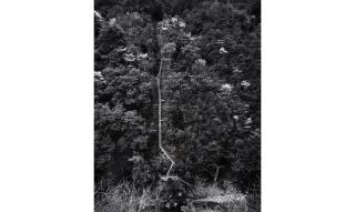 Toshio Shibata - Izumi Village, Kumamoto Prefecture