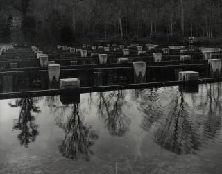 Toshio Shibata - Weir Dam, Sullivan County, TN