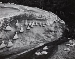 Toshio Shibata - Yunotani Village, Niigata Prefecture