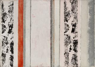 Toti Scialoja - Rosa