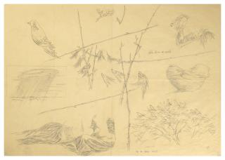 Toyen - La Lune se voile, étude pour \