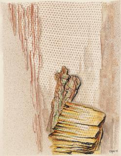 Toyen - Untitled (Bez názvu)