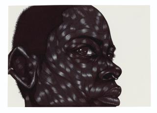 Toyin Ojih Odutola - Untitled