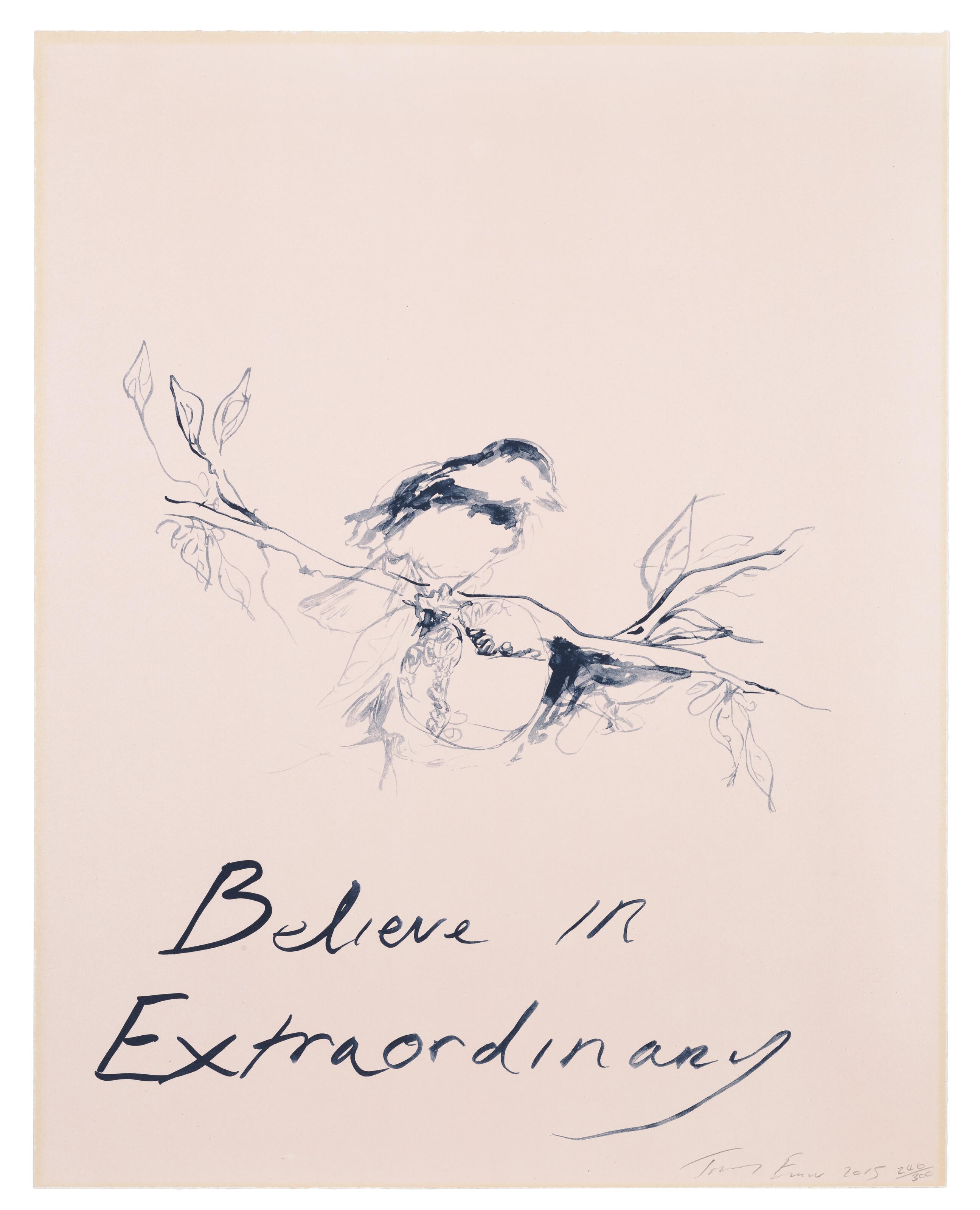 Tracey Emin - Believe In Extraordinary