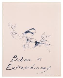 Tracey Emin - Believe In Extraordinary