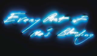 Tracey Emin - Every Part of Me\'s Bleeding