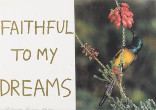 Tracey Emin - Faithful to my dreams