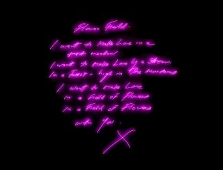 Tracey Emin - Flower Field