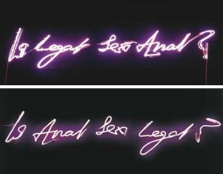 Tracey Emin - (i) Is Legal Sex Anal? (ii) Is Anal Sex Legal?