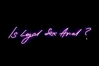 Tracey Emin - Is Legal Sex Anal?