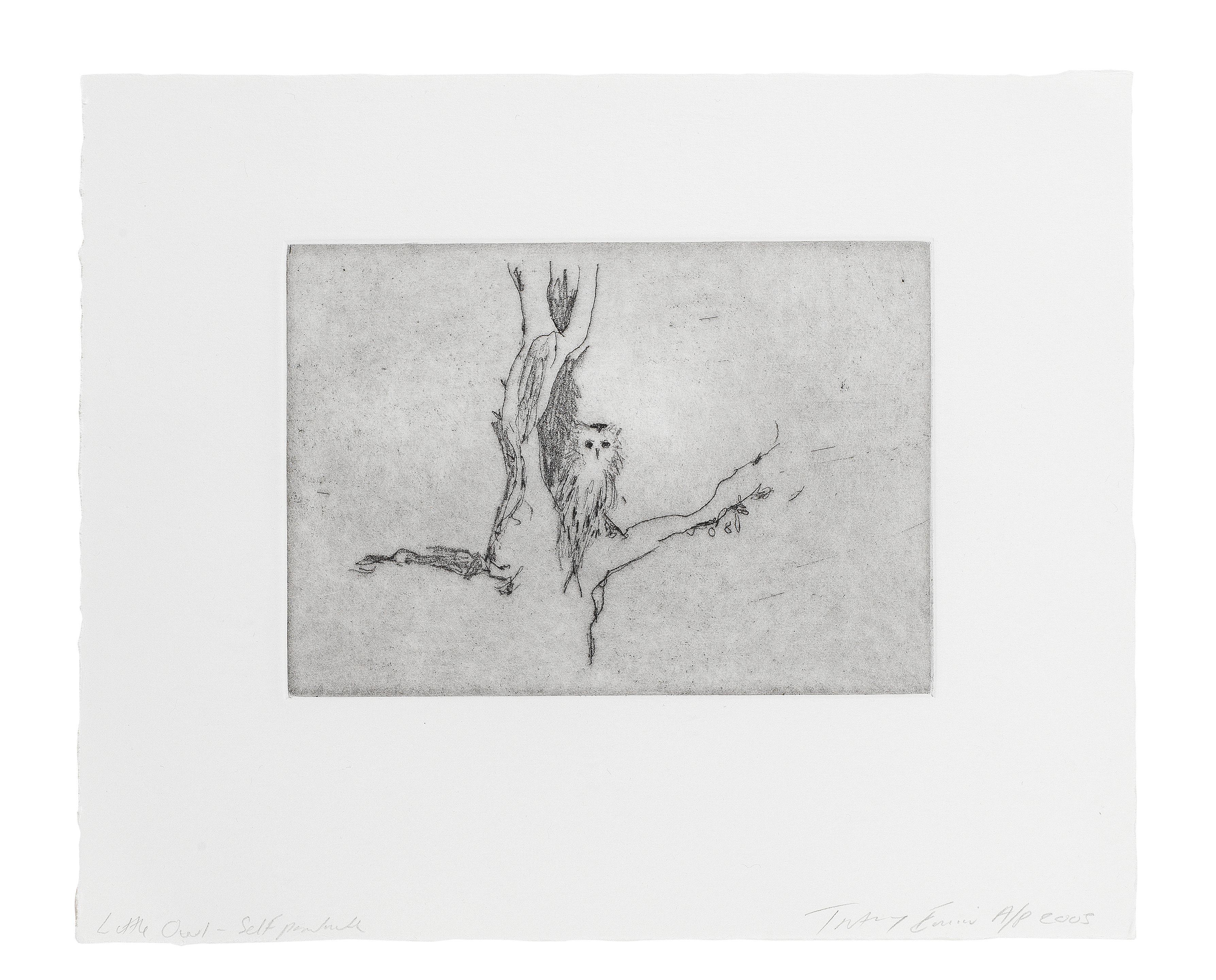 Tracey Emin - Little Owl (Self Portrait), 2005
