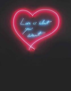 Tracey Emin - Love Is What You Want