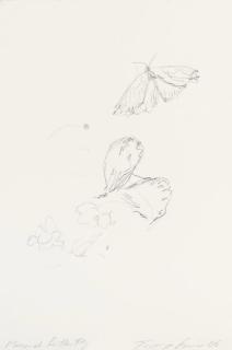 Tracey Emin - Monarch Butterfly