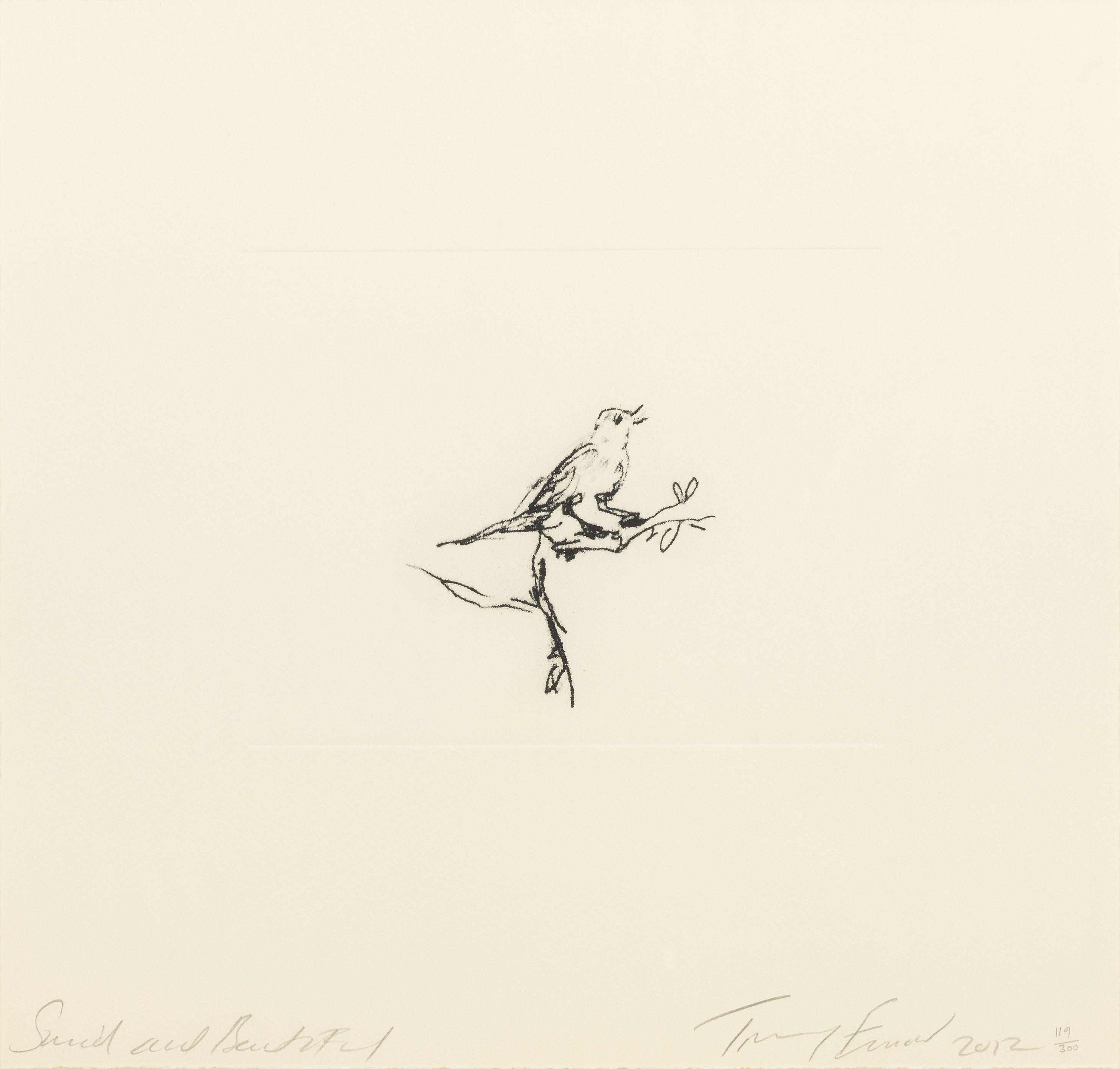 Tracey Emin - Small And Beautiful