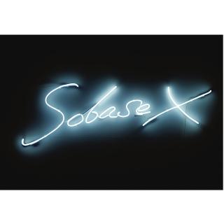 Tracey Emin - Soba Sex