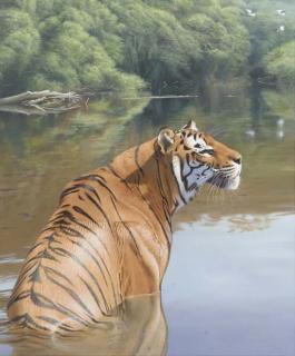 Trevor Boyer - A cool spot