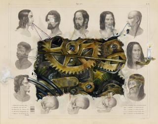 Troels Carlsen - Next to honor