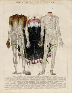 Troels Carlsen - What one becomes