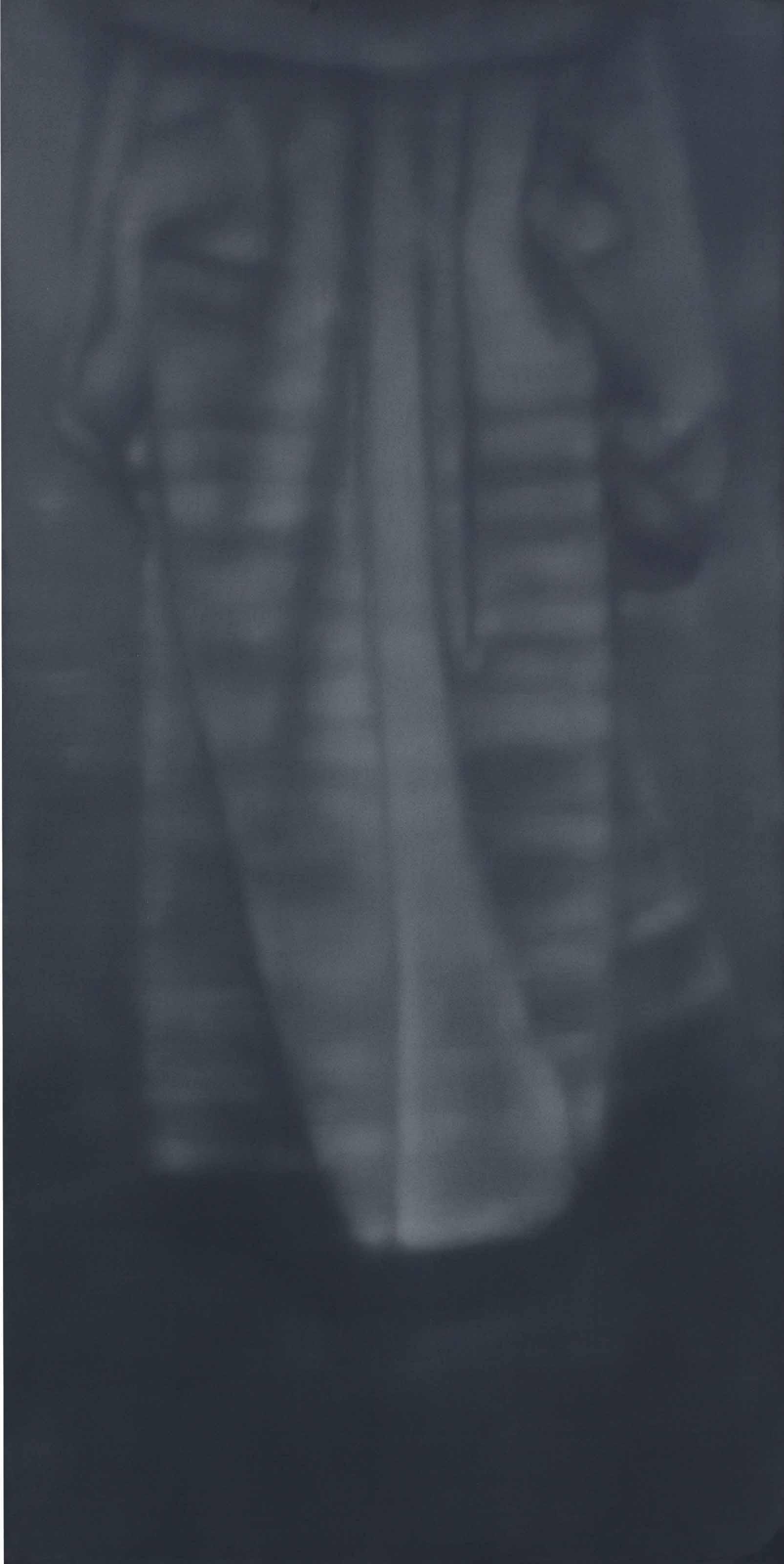 Troy Brauntuch - Untitled (Fur)