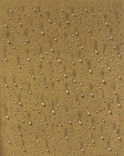 Tschang-Yeul Kim - Gouttes d\'eau (no. 4)