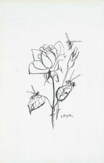 Tsuguji Foujita - Rose