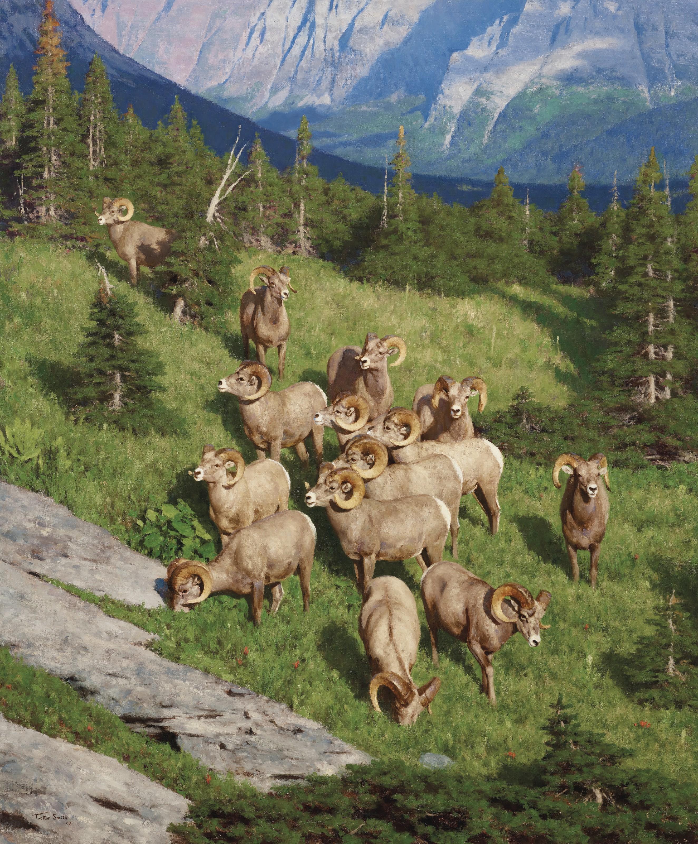 Tucker Smith - Rams Being Rams