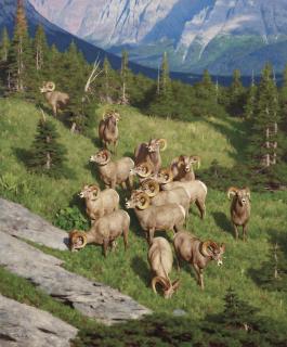 Tucker Smith - Rams Being Rams