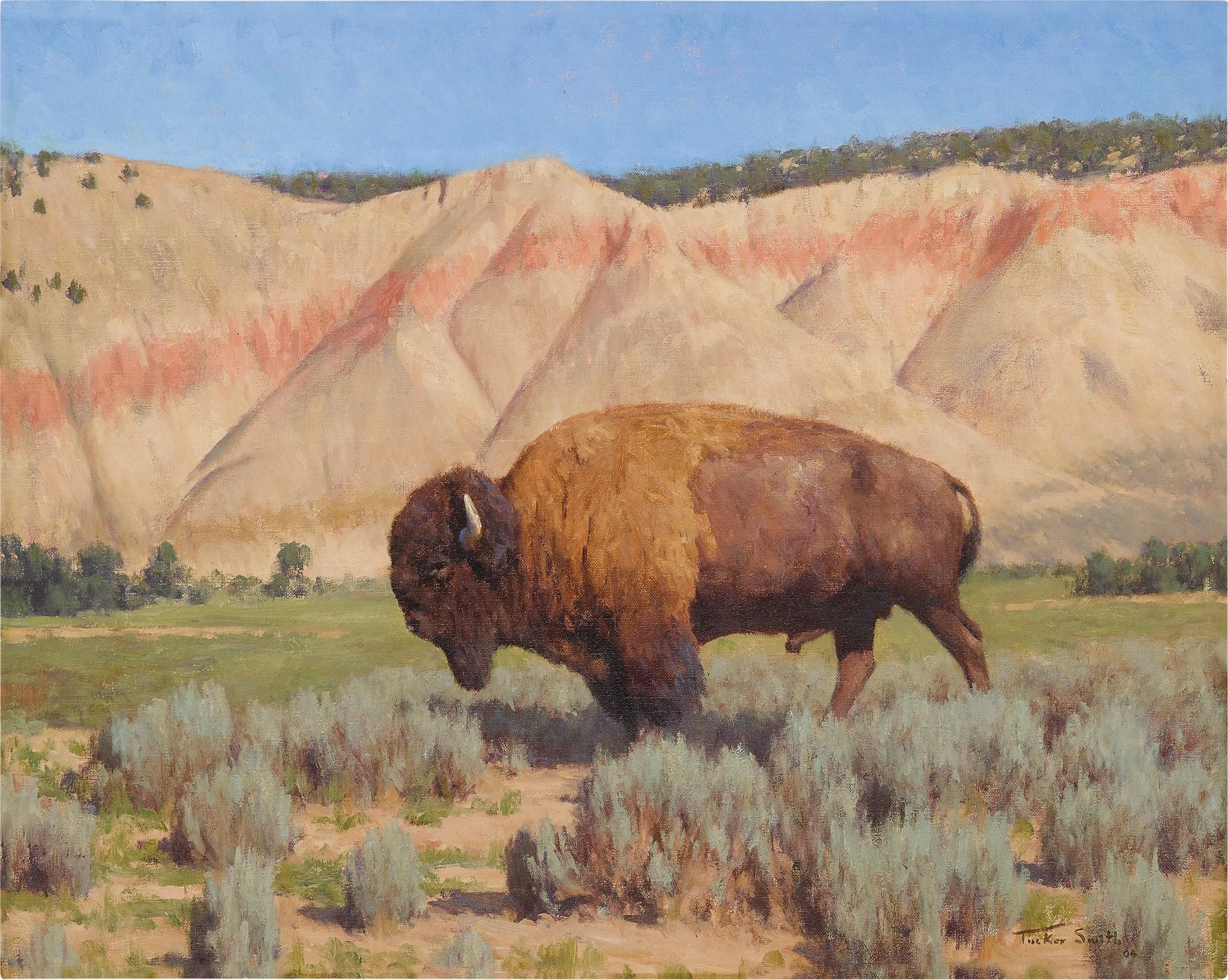 Tucker Smith - Vermillion Creek