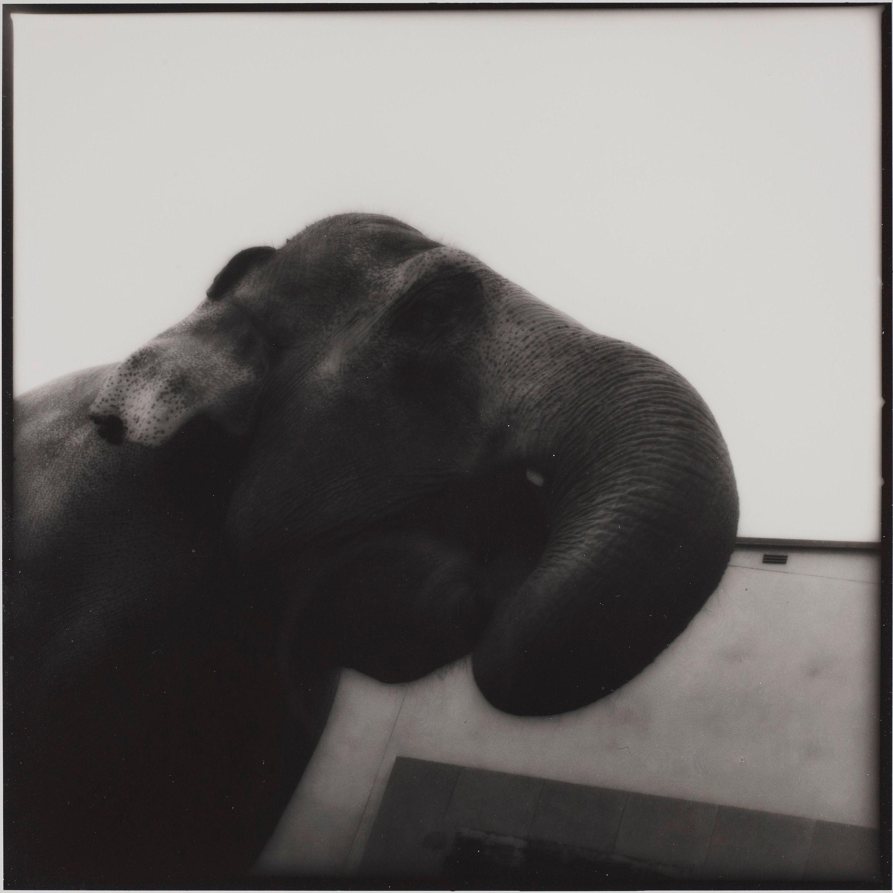 Tuija Lindström - \