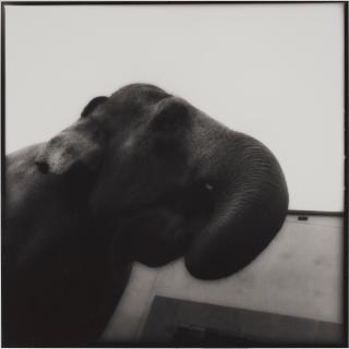 Tuija Lindström - \