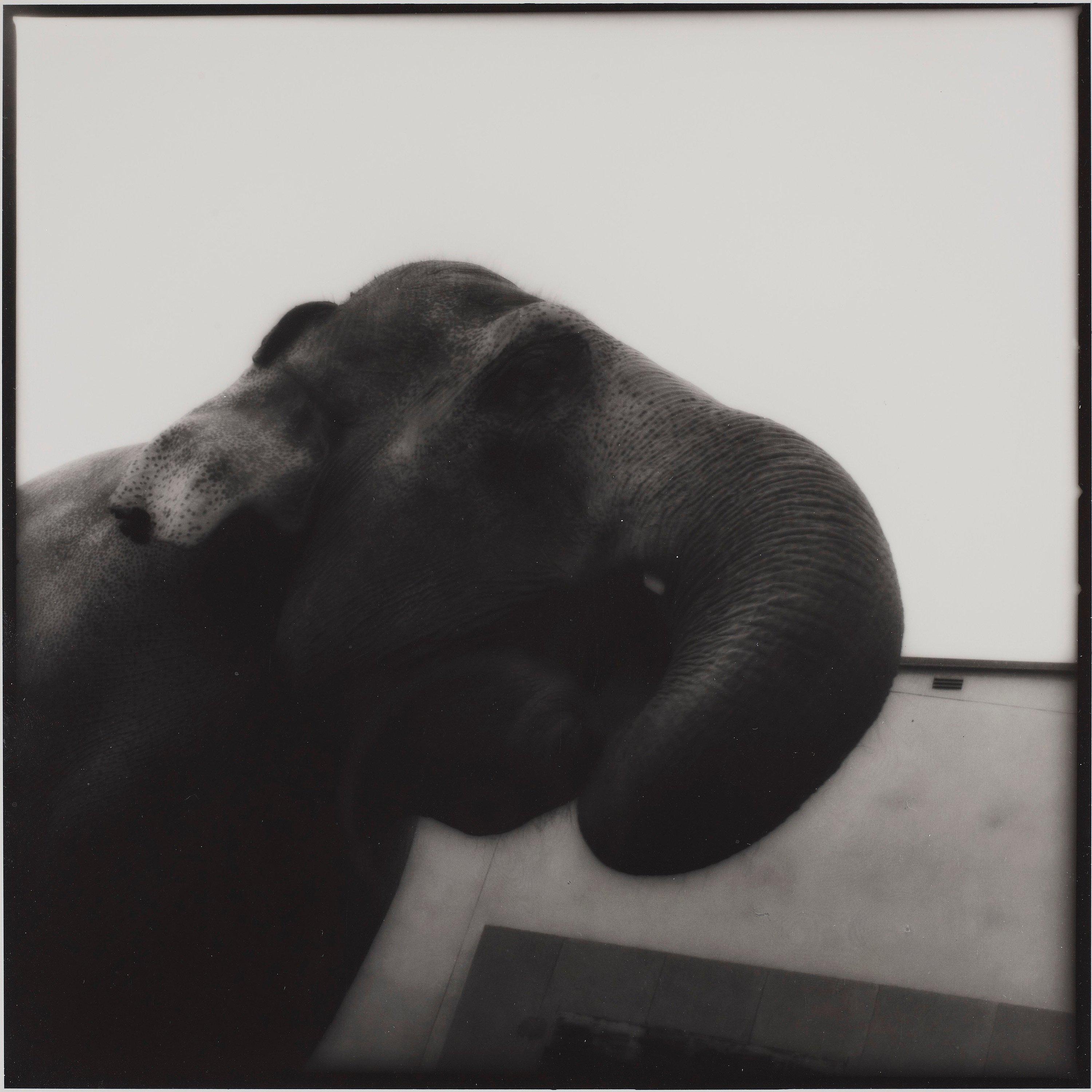 Tuija Lindström - \