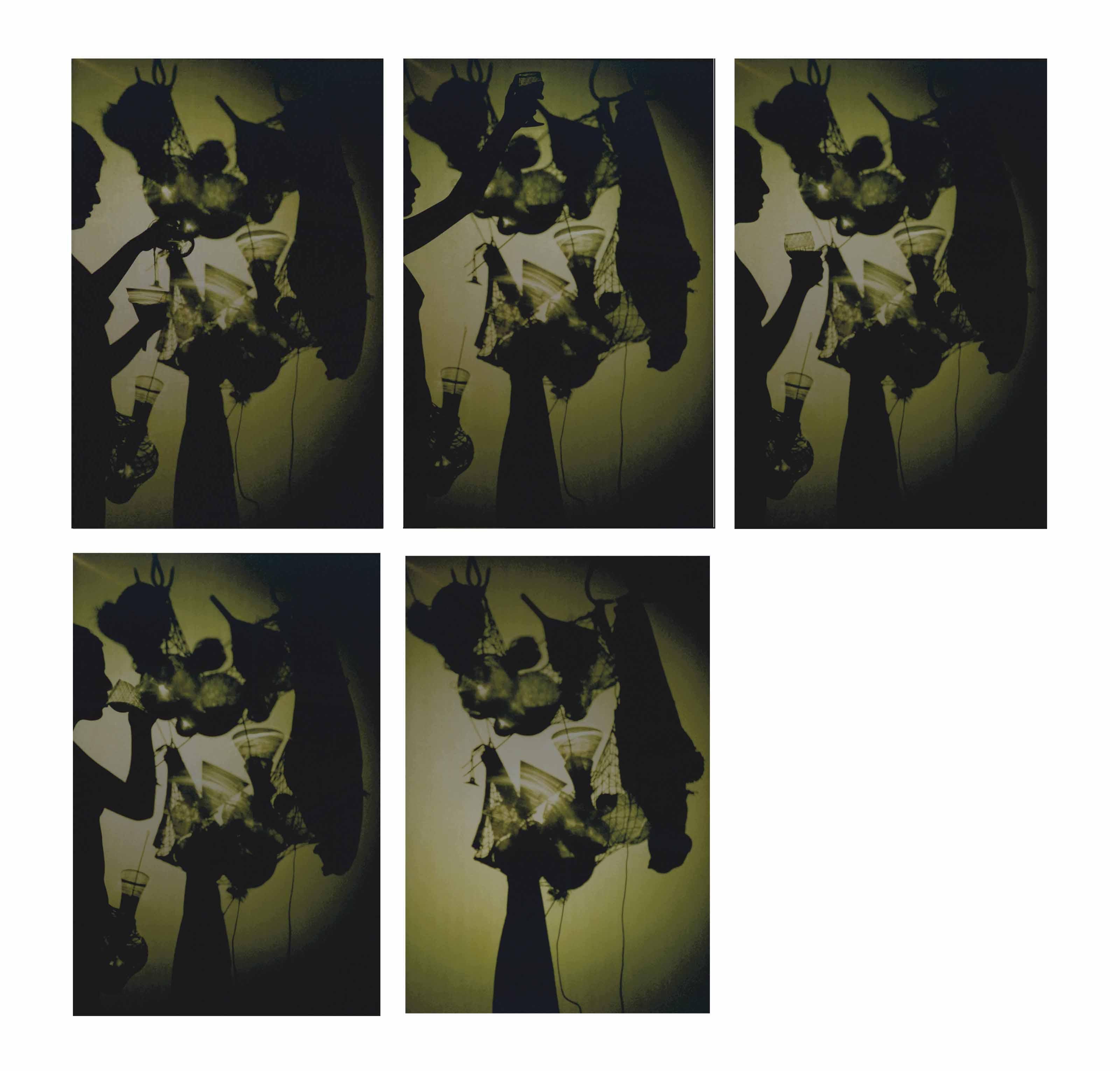 Tunga - (i) True Rouge Shadow with Profile I (ii) True Rouge Shadow with Profile II (iii) True Rouge Shadow with Profile III (iv) True Rouge Shadow with Profile IV (v) True Rouge Shadow with Profile V