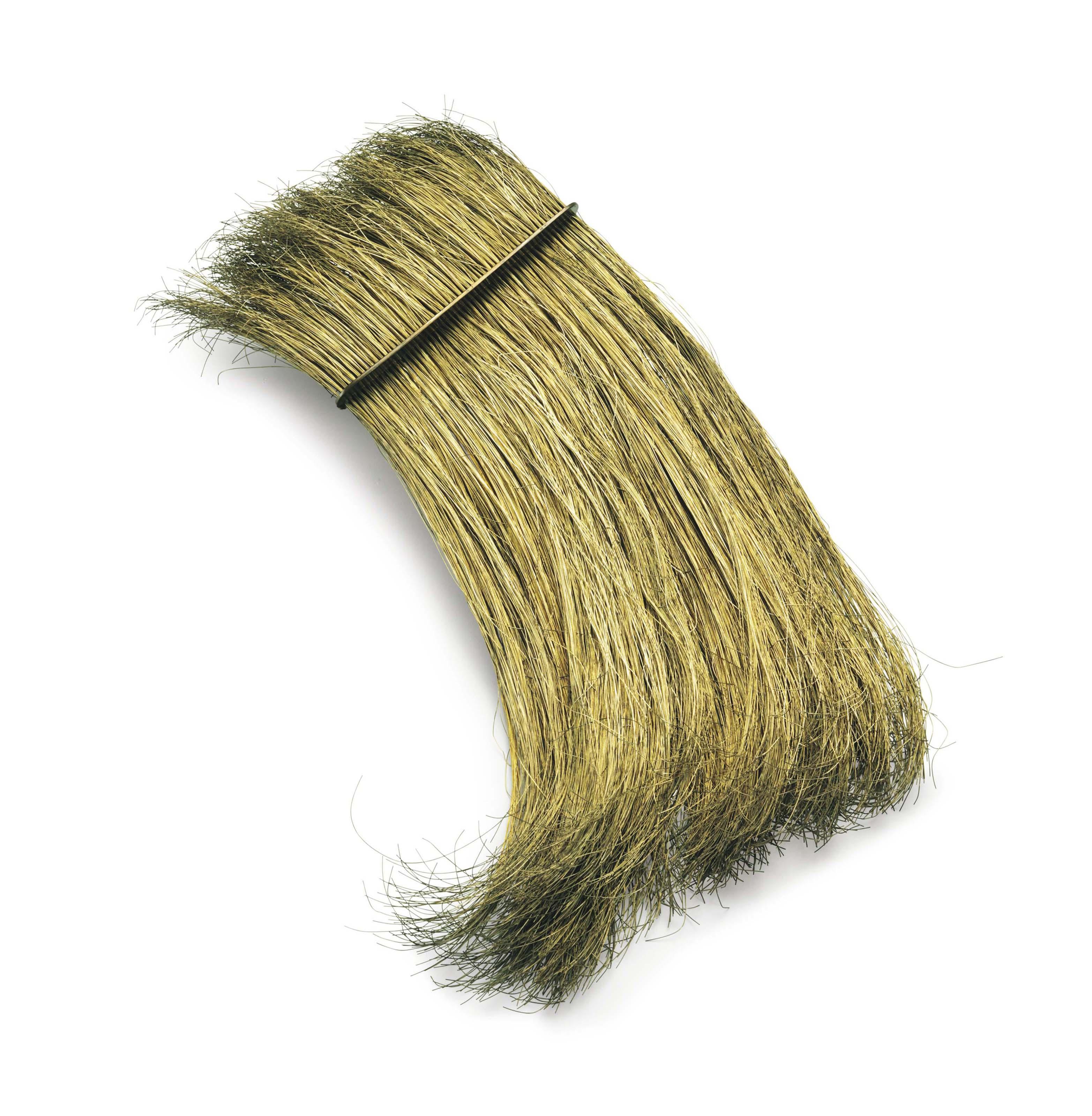 Tunga - Peine (Capillary Xiphopagus Between Us)