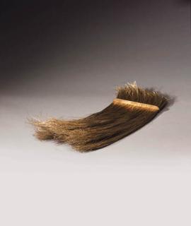 Tunga - Peine (Capillary xiphopagus between us)