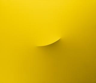 Turi Simeti - Segno Giallo