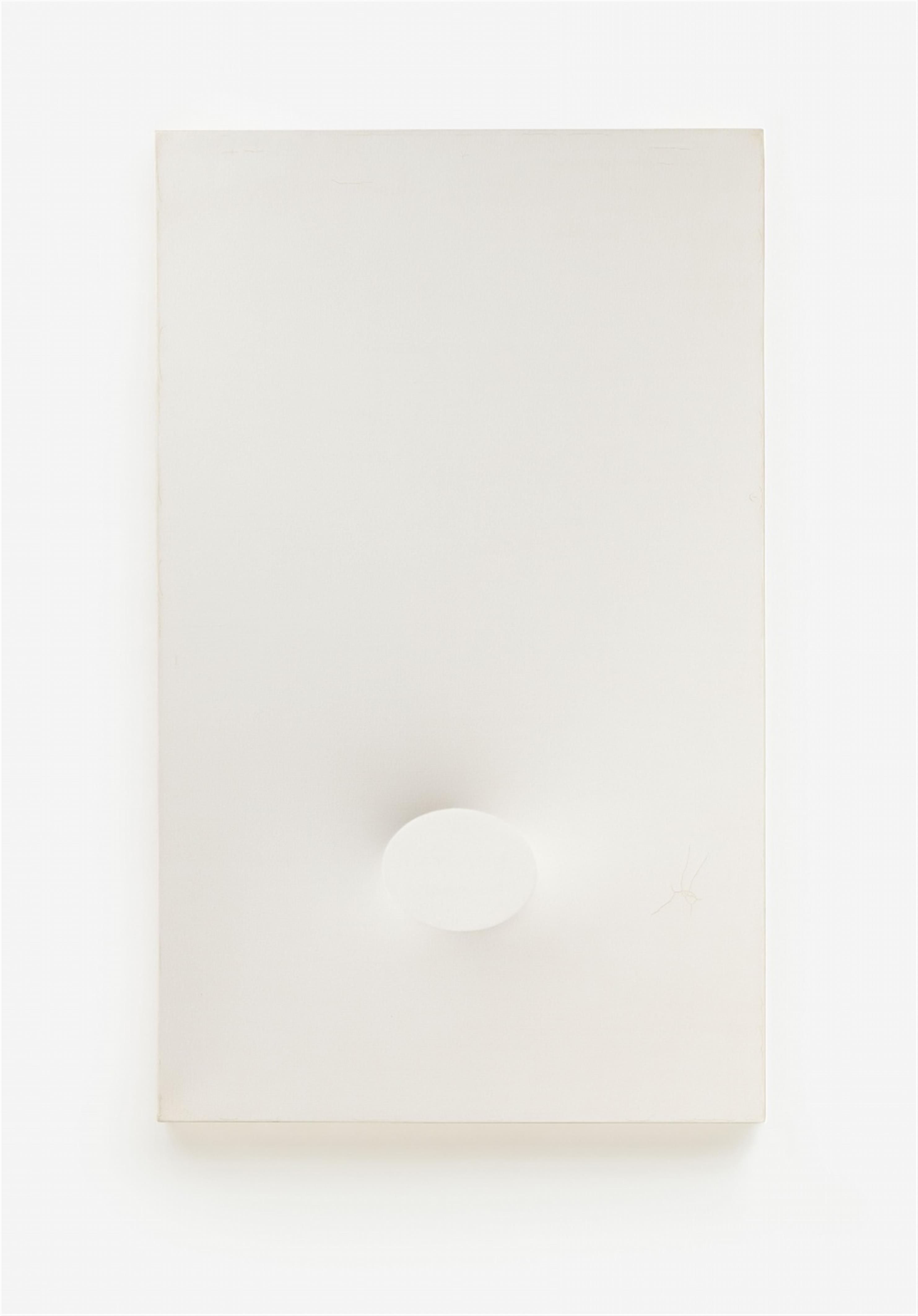 Turi Simeti - Un ovale bianco