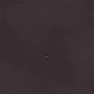 Turi Simeti - Un ovale nero (A Black Oval)