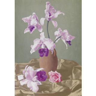 Ugo Celada da Virgilio - Orchidee E Rosa