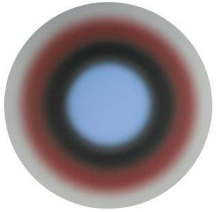 Ugo Rondinone - 7.Februar.2008