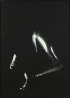 Ugo Rondinone - Moonlighting