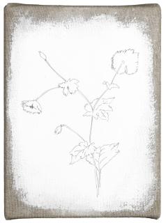 Ugo Rondinone - Tuesday, April 28, 2009