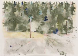 Ulf Gripenholm - Skogslandskap