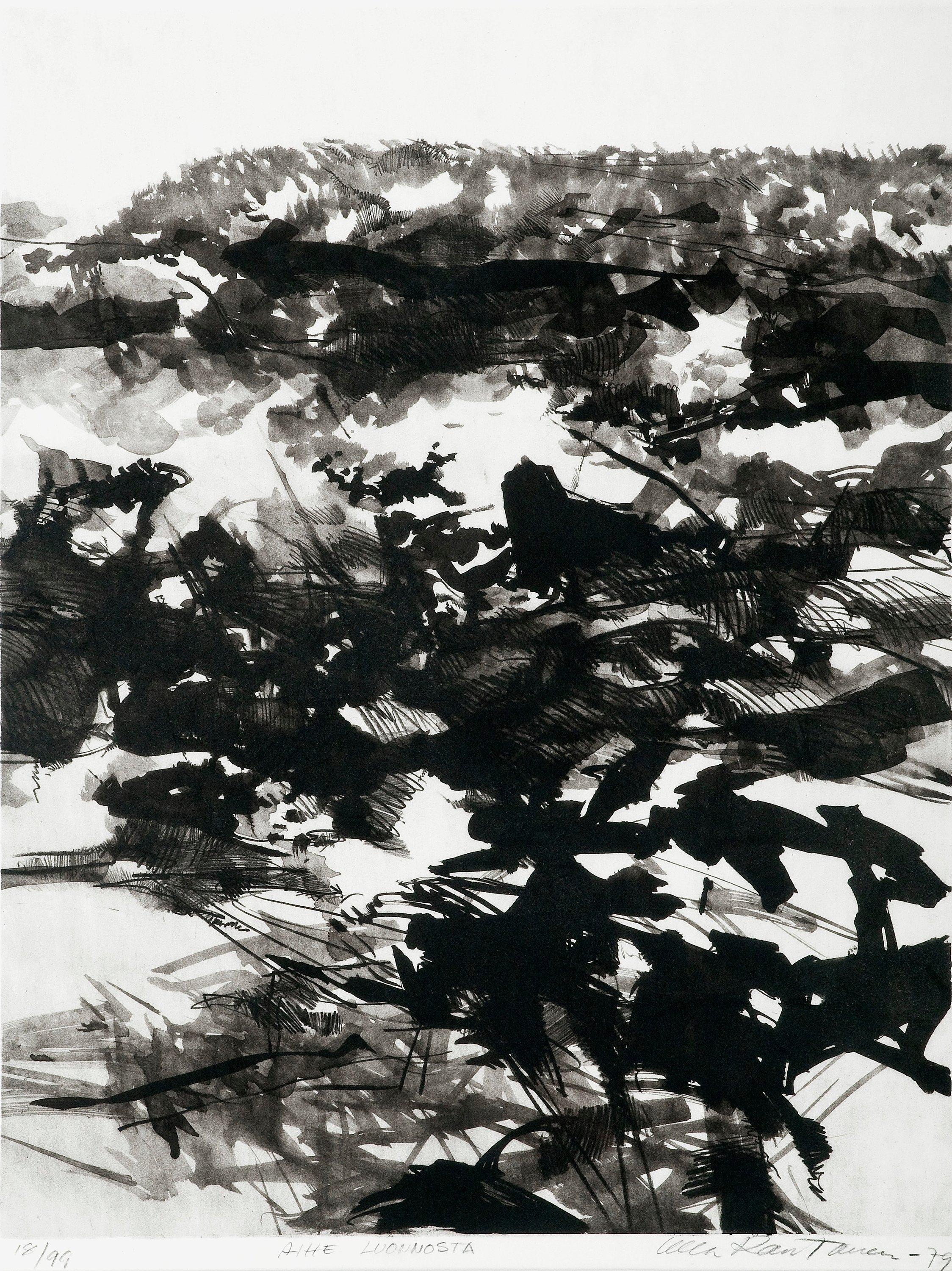 Ulla Rantanen - Motiv Från Naturen