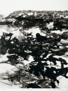 Ulla Rantanen - Motiv Från Naturen