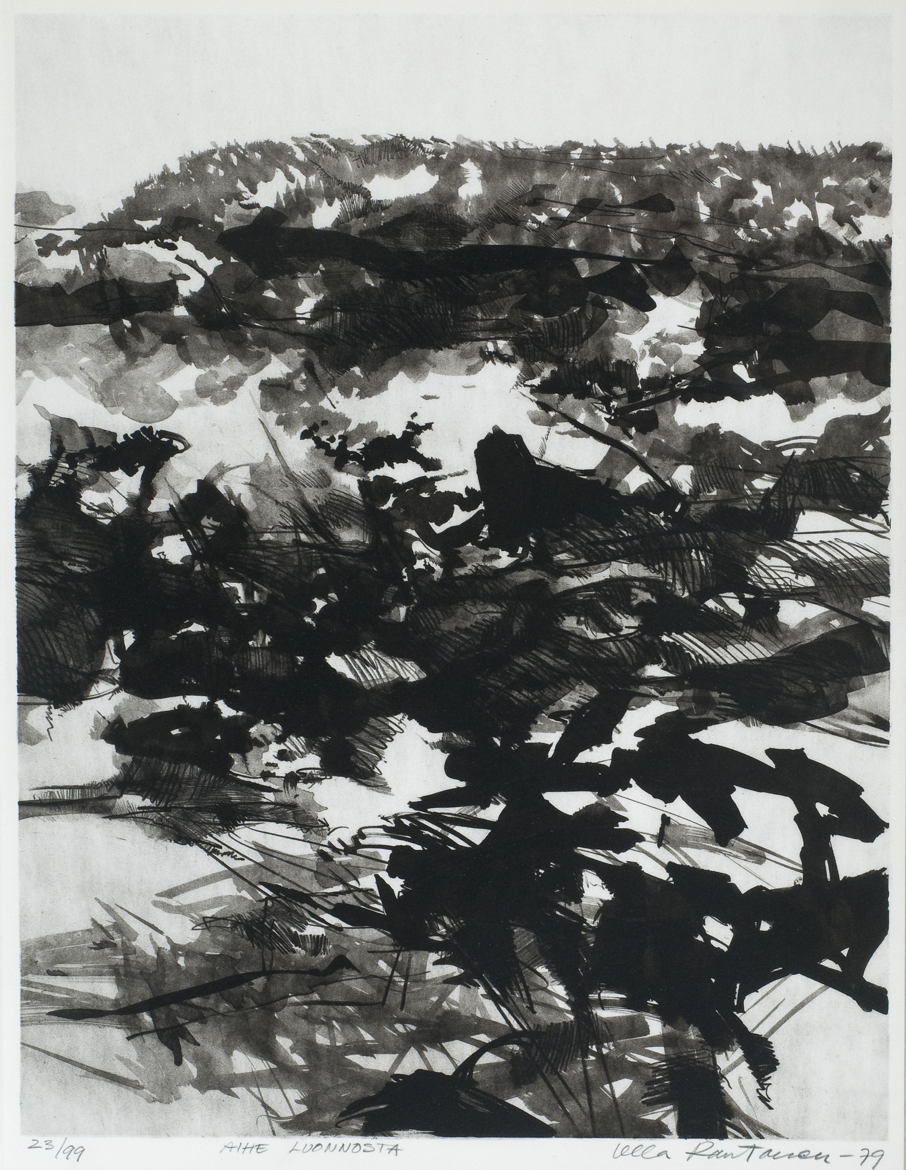 Ulla Rantanen - Motive From Nature.