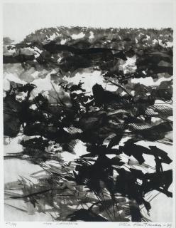 Ulla Rantanen - Motive From Nature.