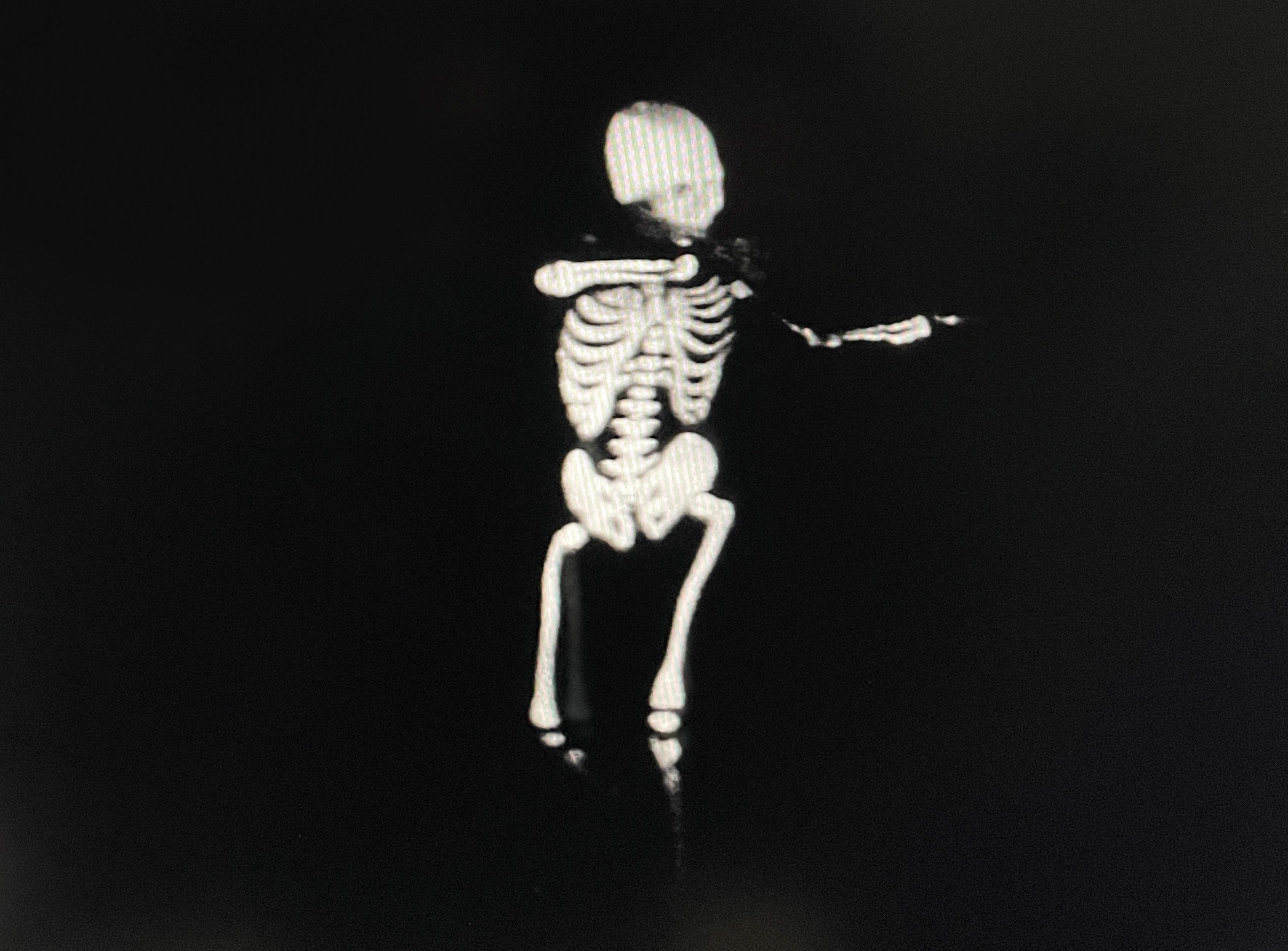 Ulla von Brandenburg - Tanz Makaber.